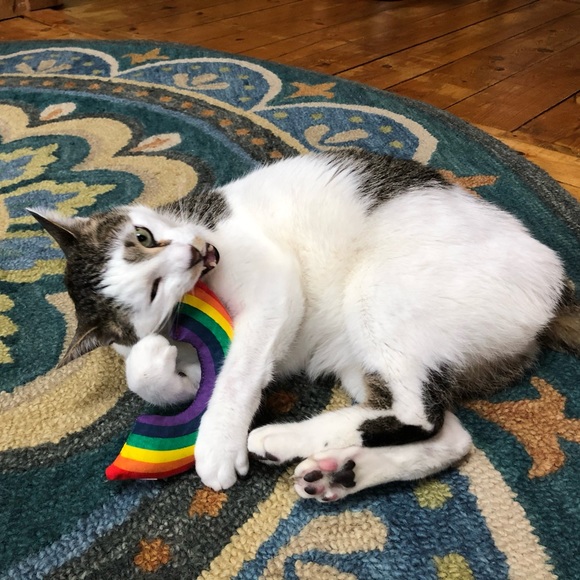 Meet your Posher, Kye - Picture 5 of 16